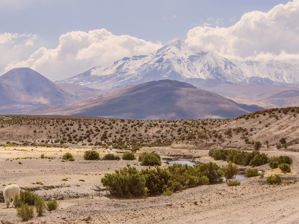 Imagen referencial de los parques en el norte de Chile