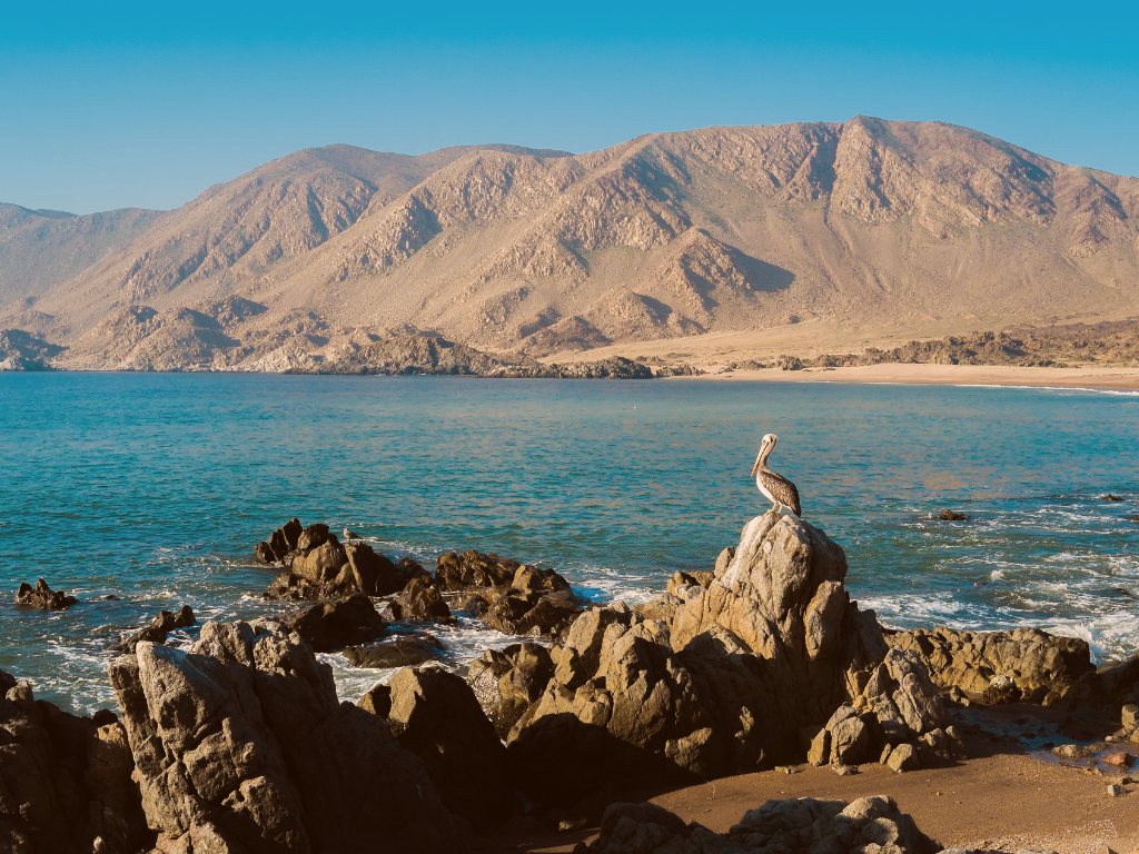 Imagen referencial de los parques en el norte de Chile