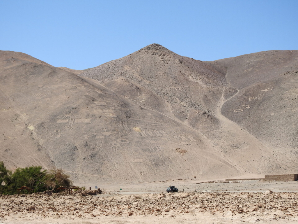 Imagen de referencia reserva nacional pampa del tamarugal