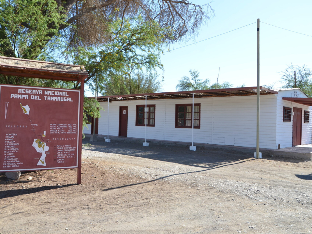 Imagen de referencia reserva nacional pampa del tamarugal